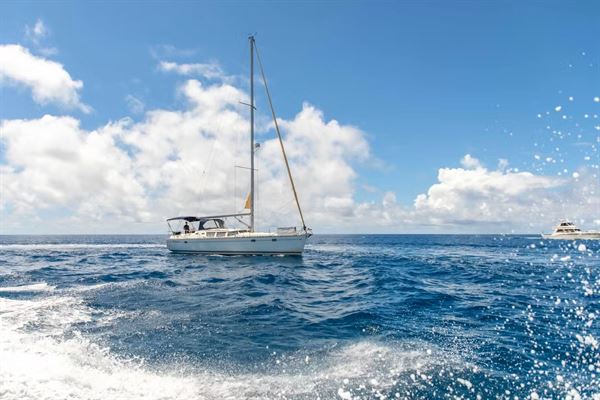 Tradewind Charters Hawaii