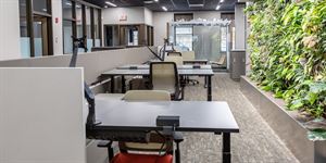 Co-Working Memberships