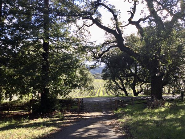 Bennett Valley Grange