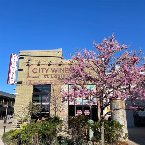 City Winery St. Louis