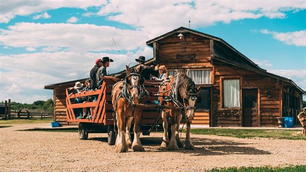 Champetre County / Howling Coyote Saloon