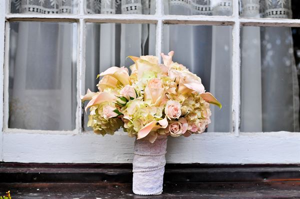 Jodi Baker Photography