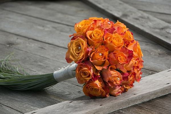 Cape Coral Wedding Service