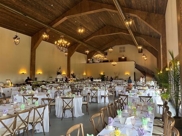 Villa at the Vineyard