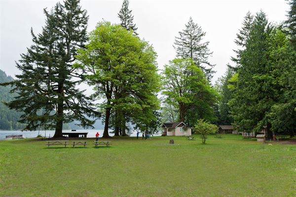 NatureBridge at Olympic