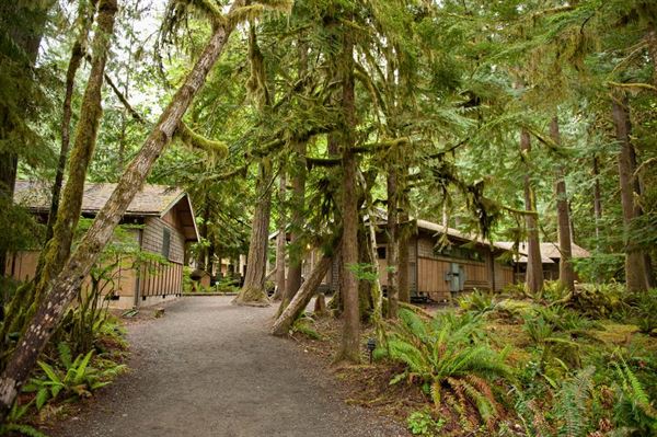 NatureBridge at Olympic