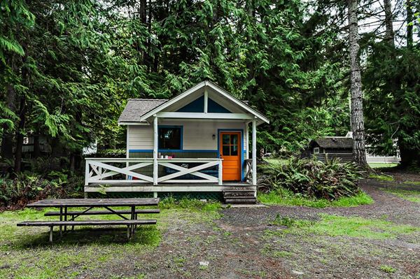 NatureBridge at Olympic