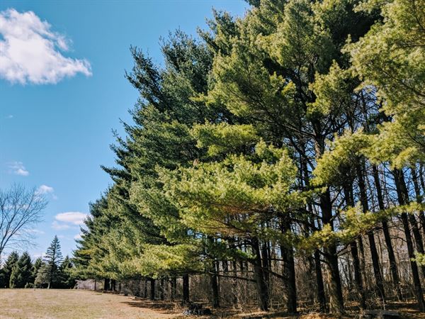 Whispering Pines Event Center