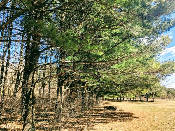 Whispering Pines Event Center