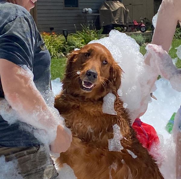 SplashTimesFun Foam Party