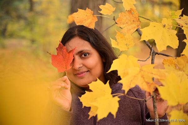 Photography Creation