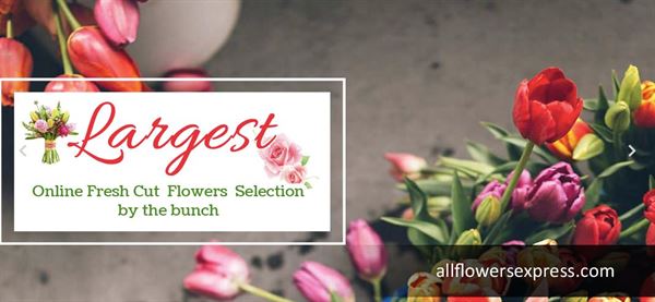 All Flowers Express LLC