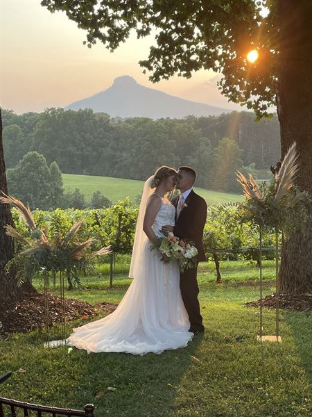 Pilot Mountain Vineyards & Weddings