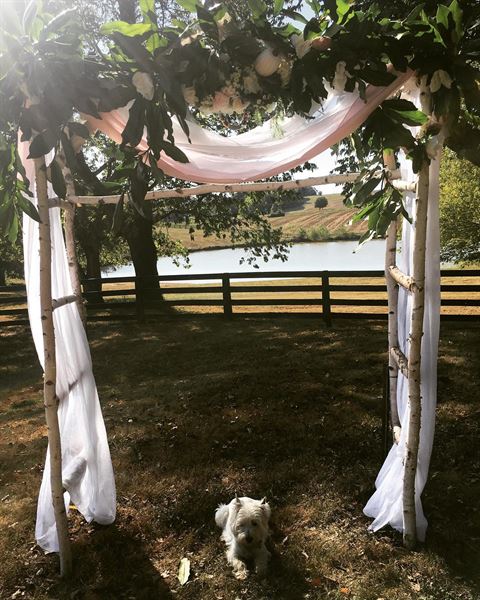 Historic Beechmont Farm