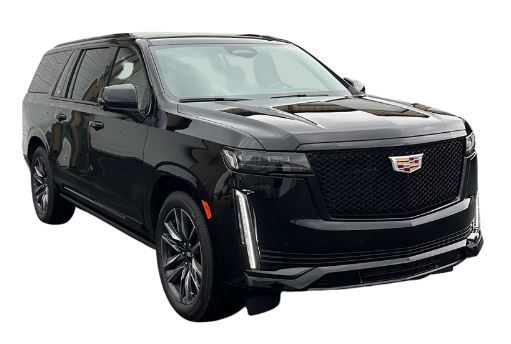 Platinum Transporation