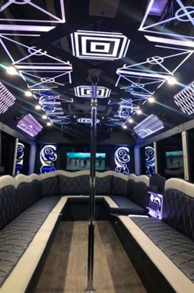 Platinum Transporation