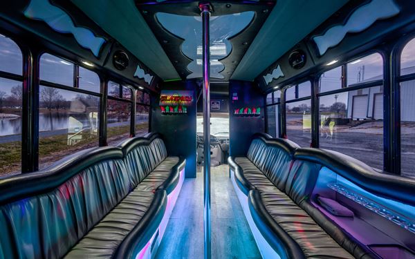 Platinum Transporation