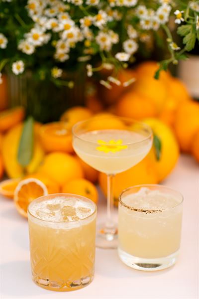 The Village, Big Sur