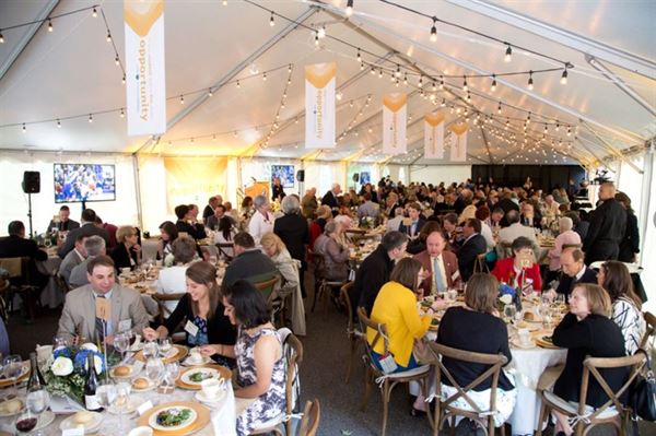 University of New England