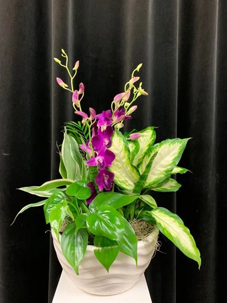 Town & Country Gardens Algonquin