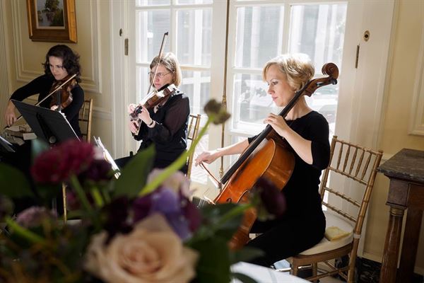 Carolina Royal Strings