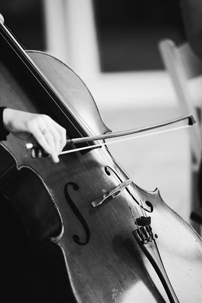 Carolina Royal Strings