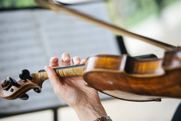 Carolina Royal Strings