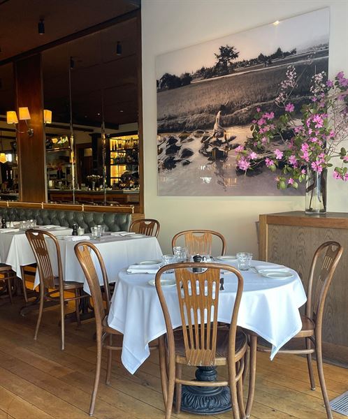 Lulu Kitchen and Bar