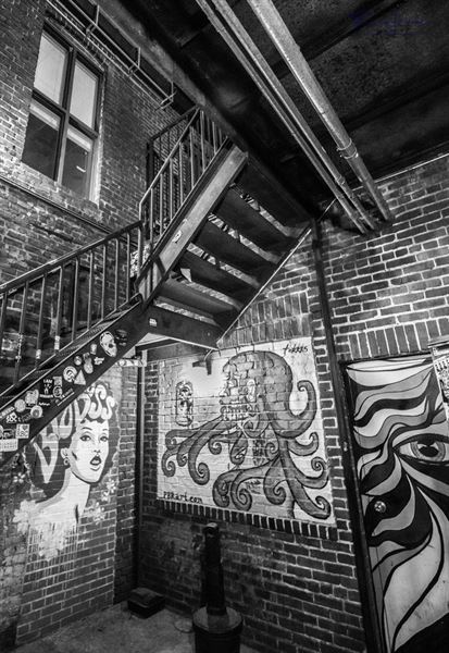 The Pour House Music Hall