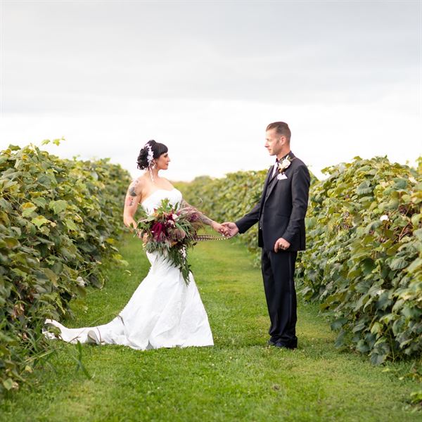 Vizcarra Vineyards at Becker Farms