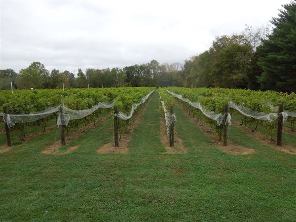 Harmony Hill Vineyards & Estate Winery