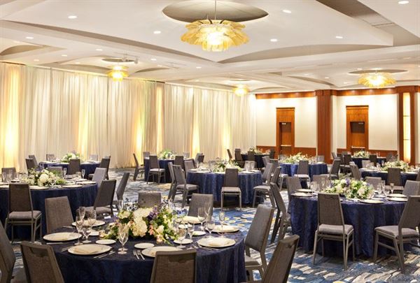 The Westin Alexandria