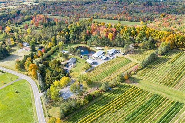 Altamont Vineyard & Winery