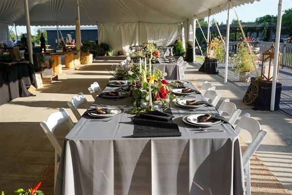 Altamont Vineyard & Winery