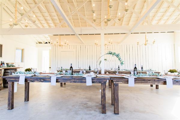 Beau Cheval in Wartrace