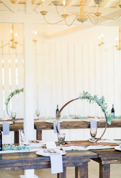 Beau Cheval in Wartrace