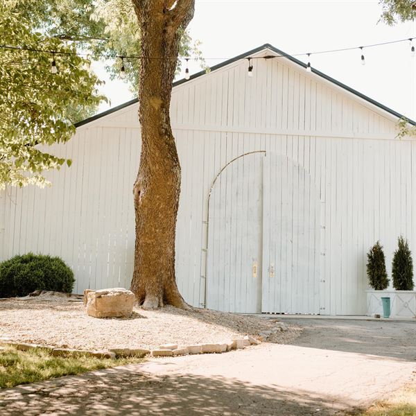 Beau Cheval in Wartrace