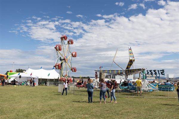Company Picnics by Magic