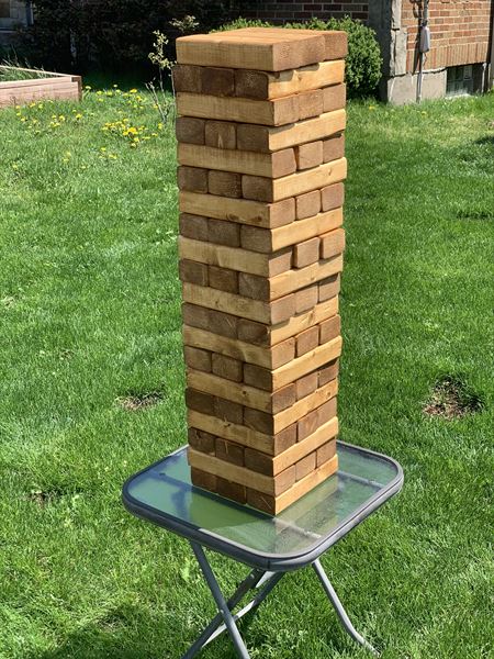 Backyard Game Rental