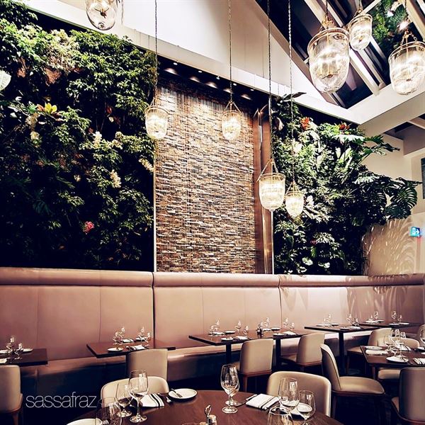 Sassafraz Restaurant