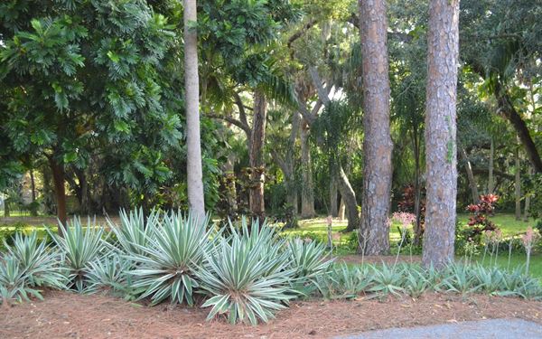 Manatee River Garden Club