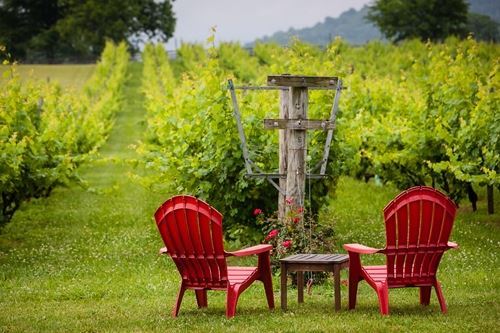 Philip Carter Winery