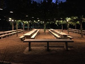 Picnic Tables