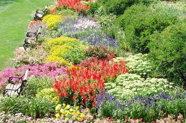 Ellwood House Museum