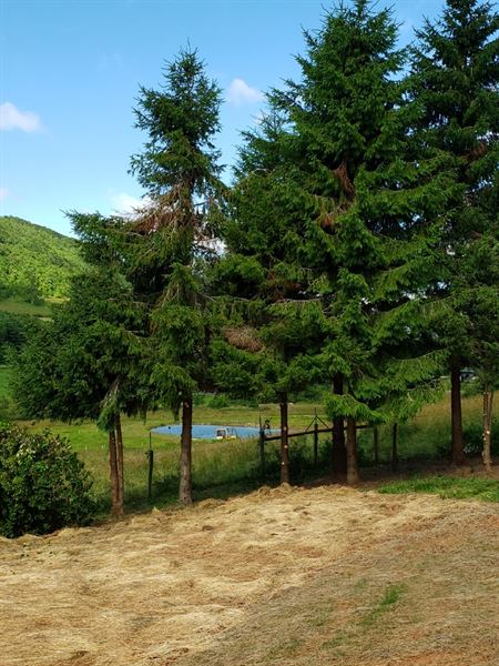 Buffalo Mountain Getaway