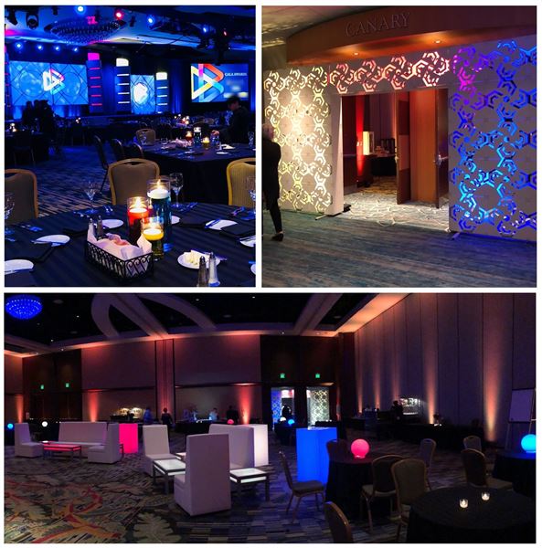 Wicked Experience Design, LLC