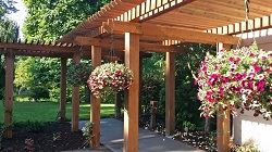 Willamalane Adult Activity Center