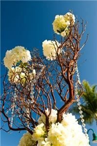 Beautiful Kreations - Delray Beach