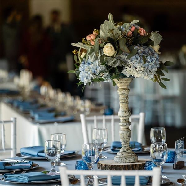 Plantation Oaks Farms