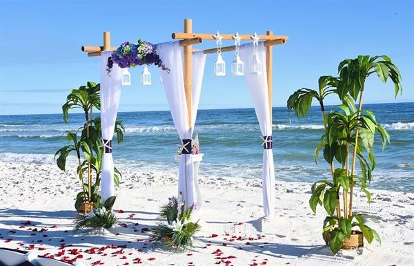 Tropical Beach Weddings